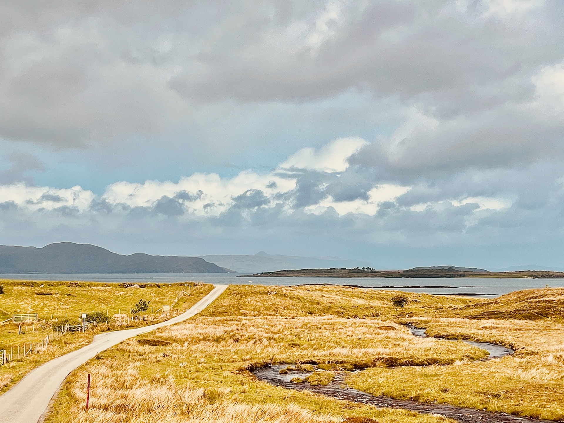 Ein Weg führt durch goldene Dünen zum Meer